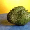 Graviola