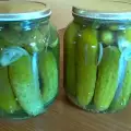 Sterilisani kiseli krastavčići