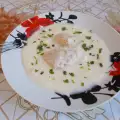 Svinjetina sa sosom od belog vina