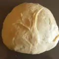Testo za Halu