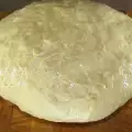 Klasično testo za mekike
