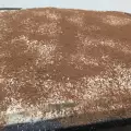 Tiramisu prema originalnom receptu