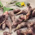 Izvori inulina iz hrane
