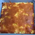 Brza i mekana penjurlija