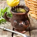 Mate (Yerba Mate) - tajni napitak sa čudesnim svojstvima