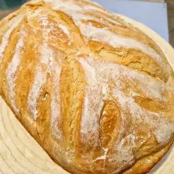 Art hleb
