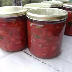 Salsa od oljuštenog paradajza