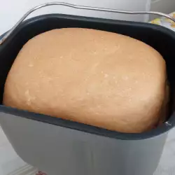 Beli hleb sa svežim kvacem u mini pekari