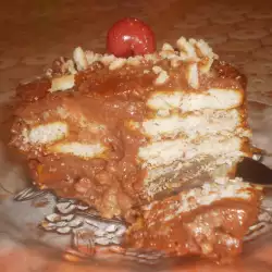Torta sa kiselom pavlakom i keksom