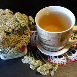 Čaj od hajdučke trave