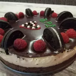 Čokoladna torta sa želatinom i malinama