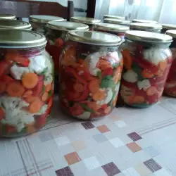 Bugarski recepti sa karfiolom