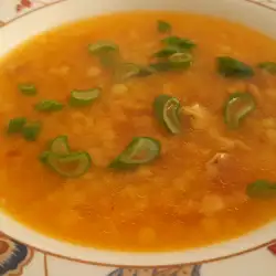Pileća supa sa mladim lukom