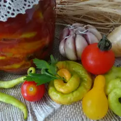 Turšija sa paradajz-paprikama
