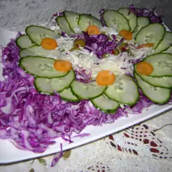 Šarena salata sa kupusom