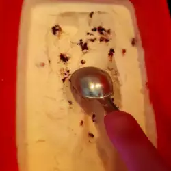 Sladoled sa sladoledom bez jaja