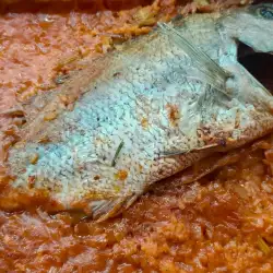 Riba crveni zubatac sa pirinčem i paradajzom iz rerne