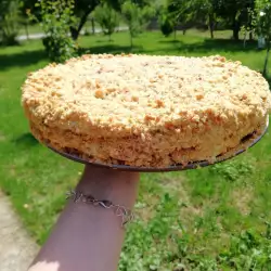 Francuska seoska torta sa slatkom od borovnica