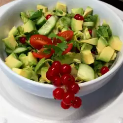 Avokado sa zelenom salatom