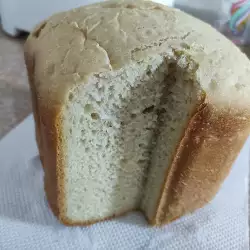 Hleb iz mini pekare sa kvascem