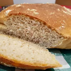 Hleb sa ražanim kvasom