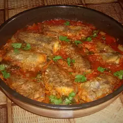 Bugarski recepti sa ribom