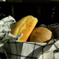 Italijanski seoski hleb