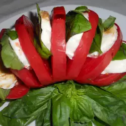 Paradajz salata sa bosiljkom