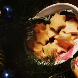 Božićni medenjaci sa brašnom od spelte