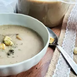 Krem supa sa bujonom od pečuraka