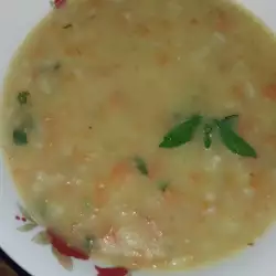 Krem supa od šargarepe sa nanom