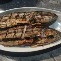 Plava riba na grčki način na roštilju