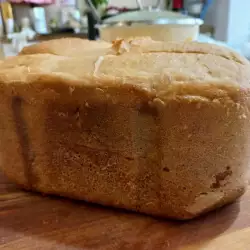 Osnovni recept za hleb od spelte u mini pekari