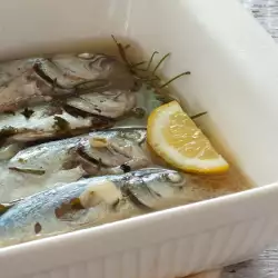 Srpski recepti sa ribom