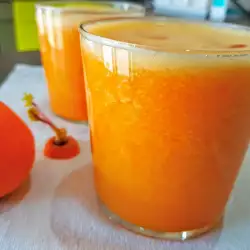 Nektar od šargarepe i mandarine