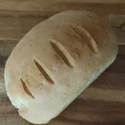 Domaći hleb - običan