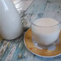Domaće sveže mleko od ovsenih pahuljica
