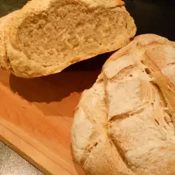 Francuski hleb (Pain de Campagne)