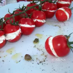 Vegetarijansko predjelo sa paradajzom