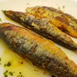 Pečena sardina sa peršunom na roštilju