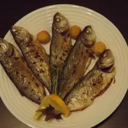 Riba na grčki način sa selenom