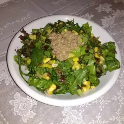 Zelena salata sa zelenom salatom