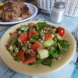 Šarena salata sa sočivom i spanaćem