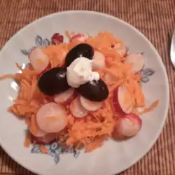 Salata sa šargarepom i rotkvicama