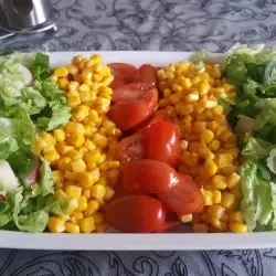Salata od povrća sa lukom
