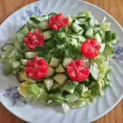 Salata trokadero sa čeri paradajzom
