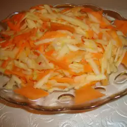 Salata od povrća sa sokom od limuna