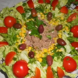 Bogata salata sa tunjevinom