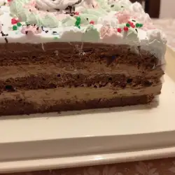 Čokoladna torta sa kremastim filom