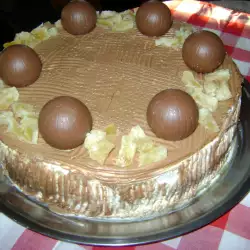 Čokoladna torta sa pavlakom i suvim borovnicama